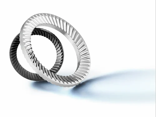 Schnorr Safety Washer