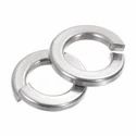 Silver SS Spring Washer